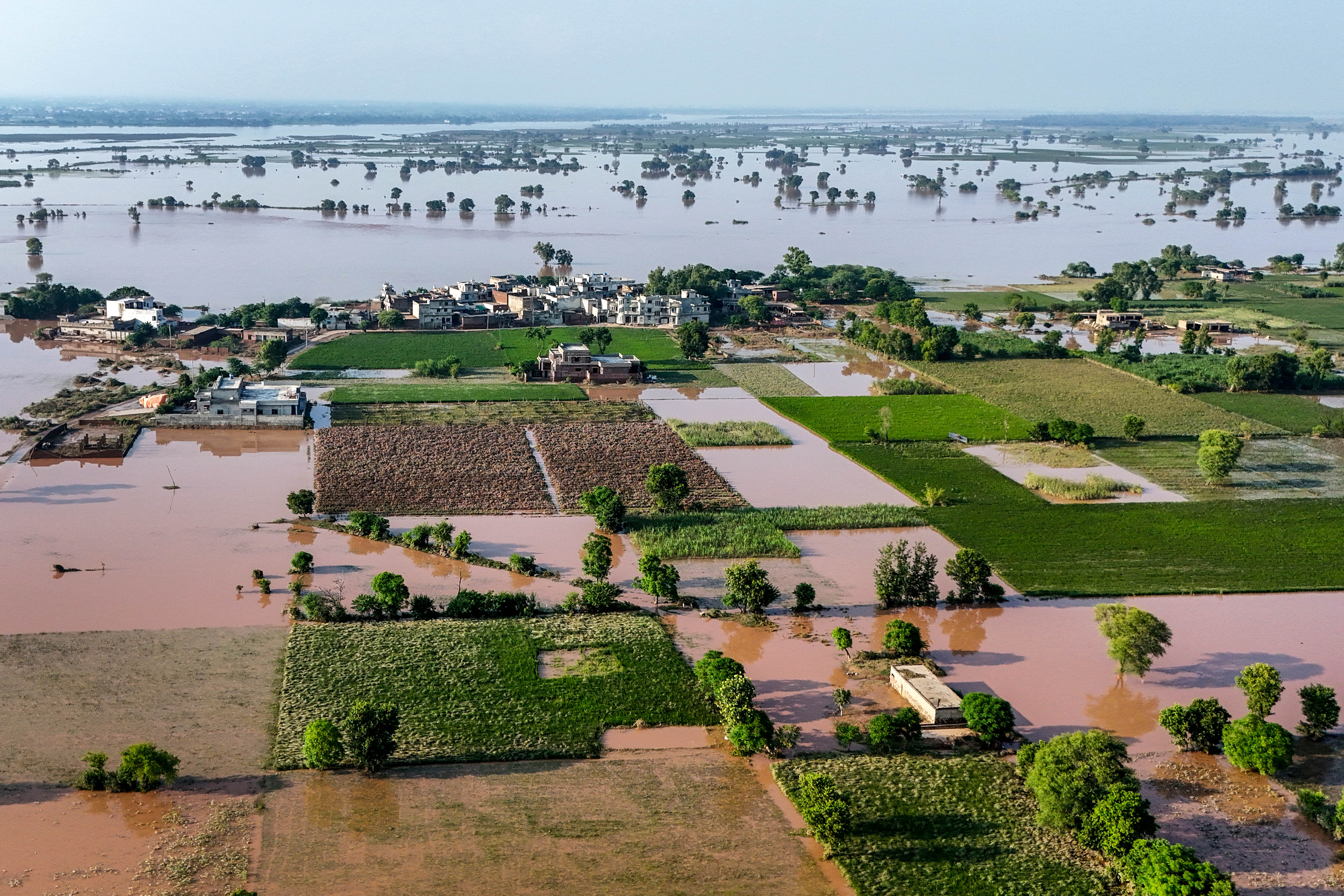 Day in Photos: Flooding in Pakistan, Protests in Indonesia, and Falconry Exhibition