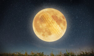 Full ‘Corn Moon’ Converges With Folklore and Spectacular Lunar Phenomena This September—What to Know