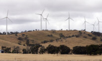 Inquiry Hears Millions Face Uninsurable Future If Climate Change Not Dealt With