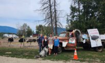 Co-Owner and Daughter of BC Ostrich Farm Facing Cull Order Arrested