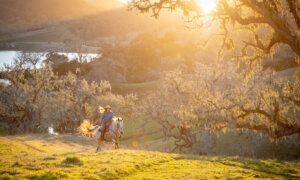 11 Dude Ranches for a Western-Inspired Getaway