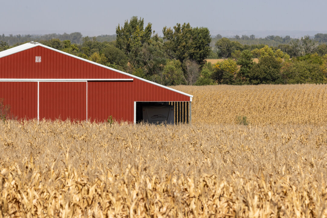 Trump Plans Use Tariff Revenue to Aid US Farmers Amid China Trade Dispute