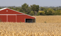 US Will Use Tariff Revenue to Help Farmers: Trump