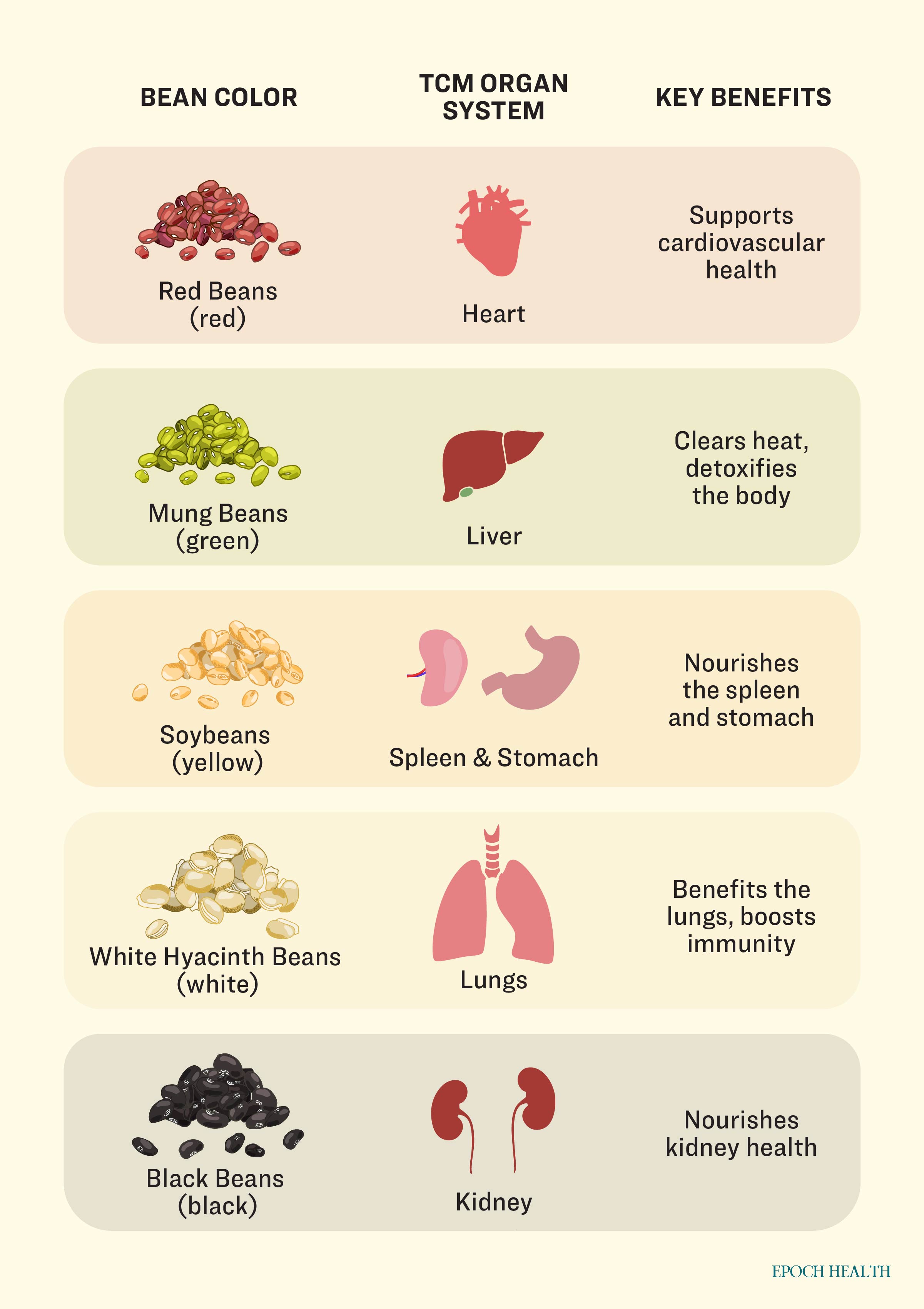 How Five-Colored Beans Support Internal Organ Health. (The Epoch Times)