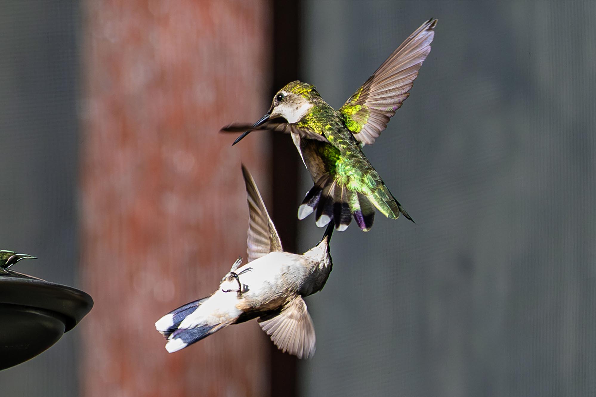 Epoch Times Photo