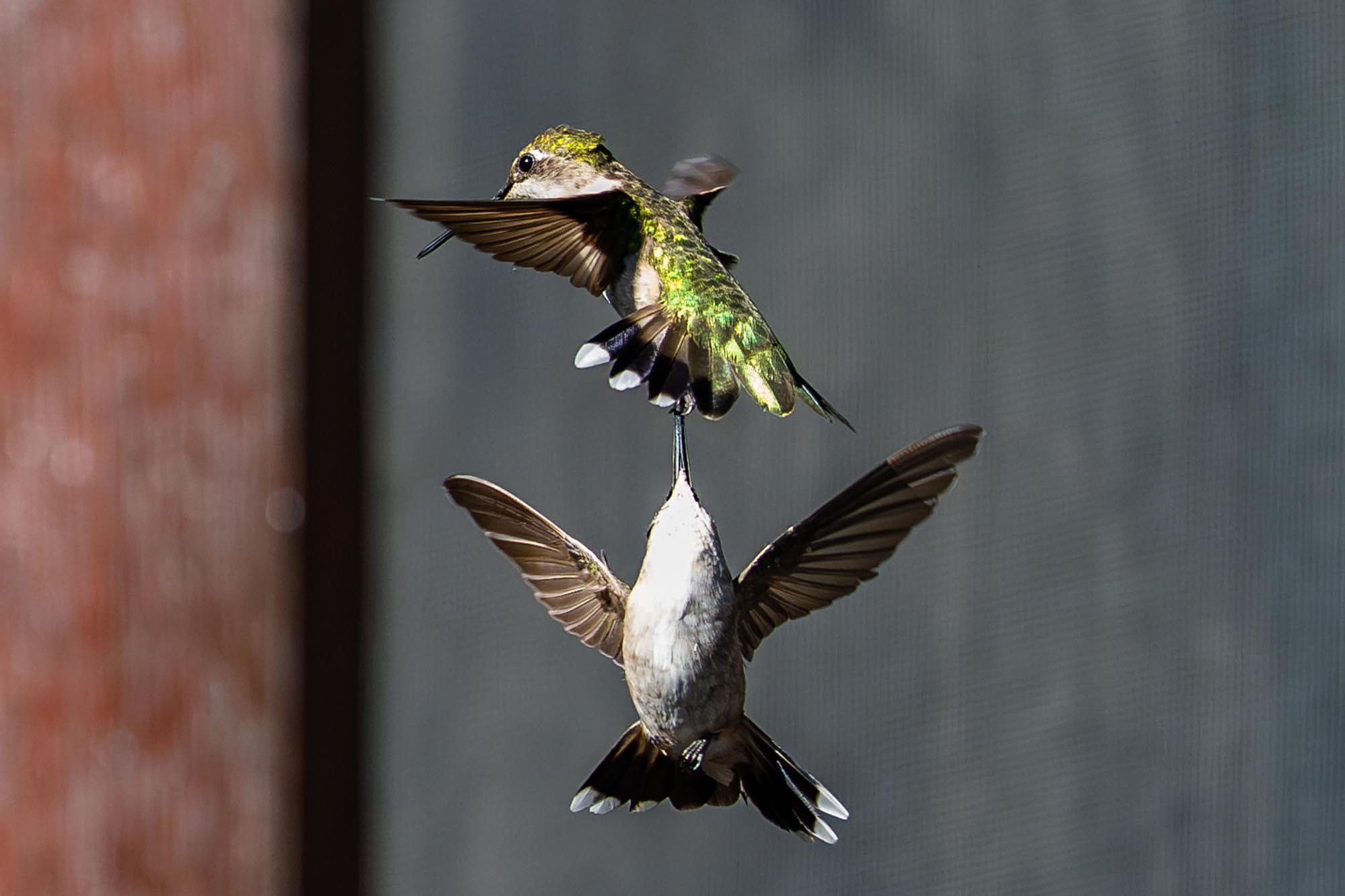 Epoch Times Photo