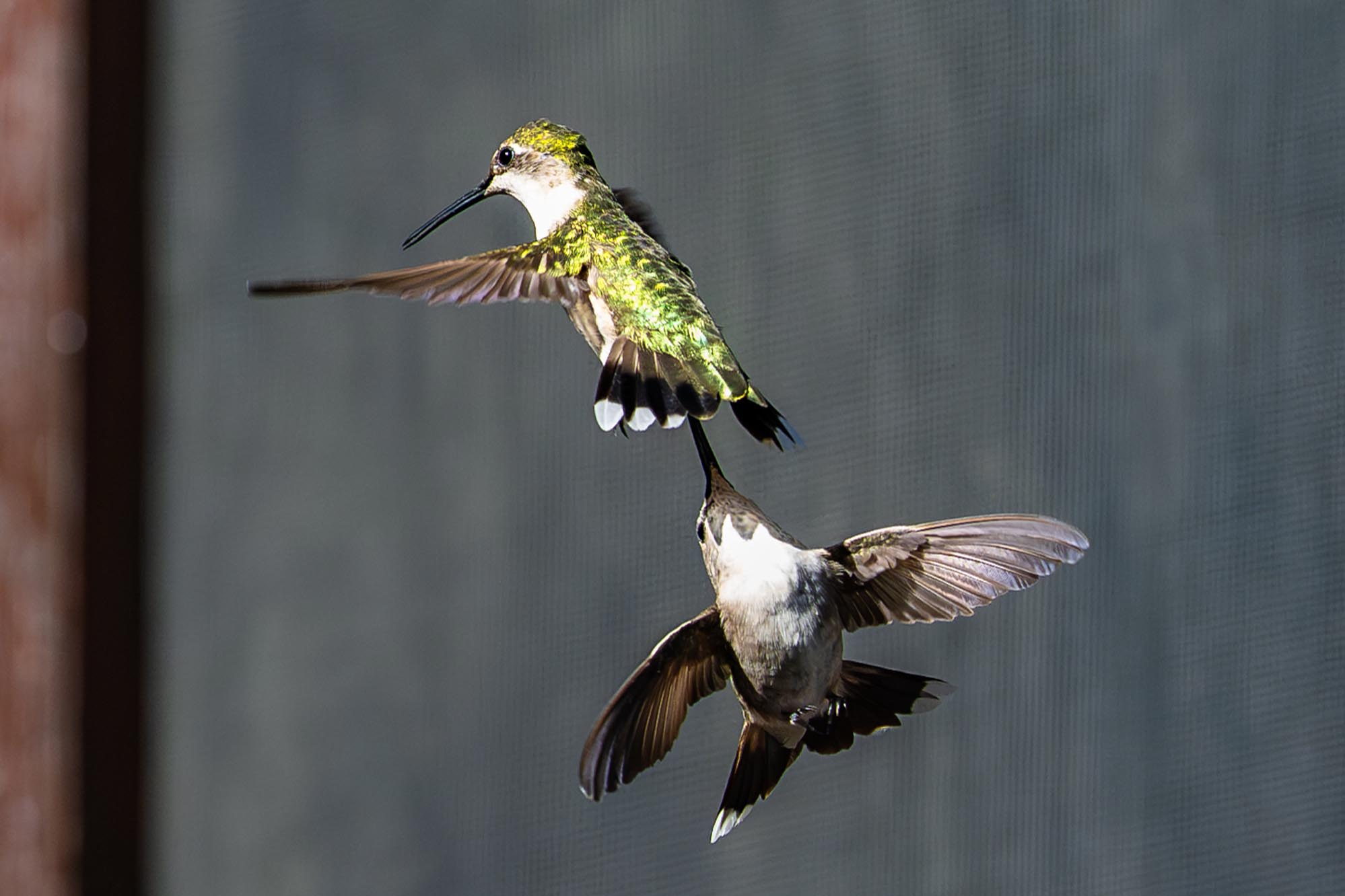 Epoch Times Photo