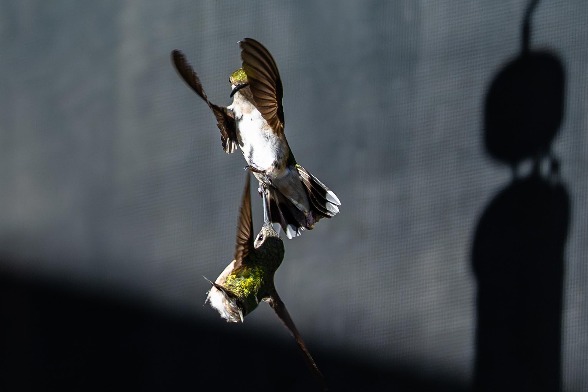Epoch Times Photo