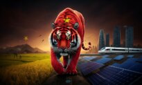 Tiger on the Mekong?