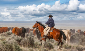 The Cowboy Code: 10 Principles to Live By