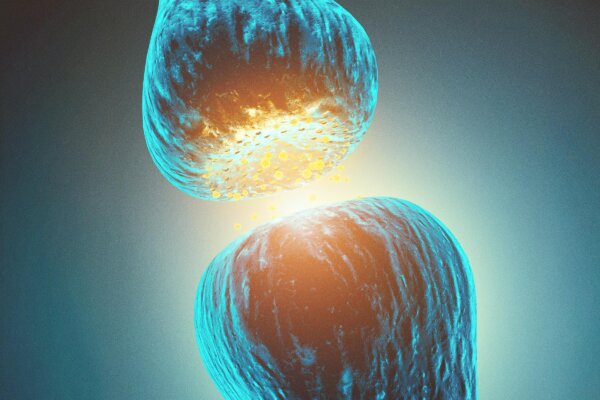 A Key Brain Chemical Linked to Sleep and Balance