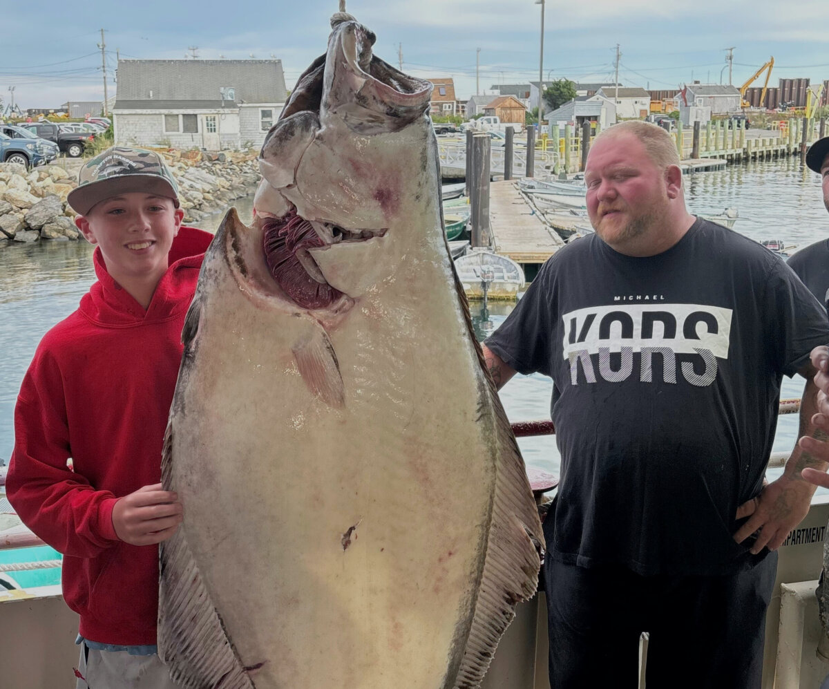 Jackson Denio stands with a 177-pound halibut he caught Monday on a deep-sea fishing trip in Hampton, N.H., on Sept. 2, 2025. (Jill Denio via AP)