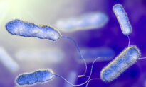 Legionnaires’ Disease Is Surging, Here Are the Causes and Signs