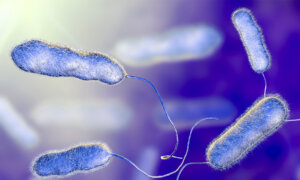 Legionnaires’ Disease Is Surging, Here Are the Causes and Signs