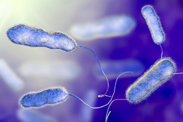 Rising Legionnaires’ Disease—Causes and Signs