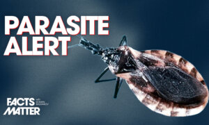 300,000-Plus Americans Infected With Dangerous Chagas Parasite | Facts Matter