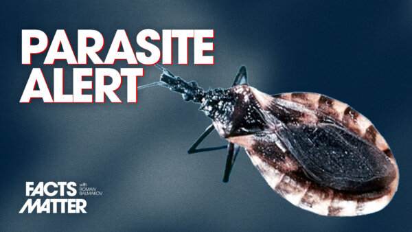 300,000-Plus Americans Infected With Dangerous Chagas Parasite | Facts Matter