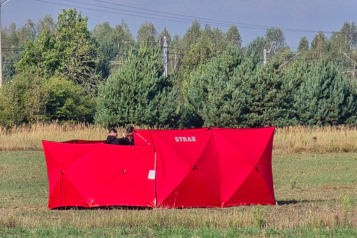 Firefighters secure parts of a damaged UAV shot down by Polish authorities at a site in Czosnowka near Biala Podlaska, Poland, on Sept. 10, 2025. (AP Photo/Piotr Pyrkosz)