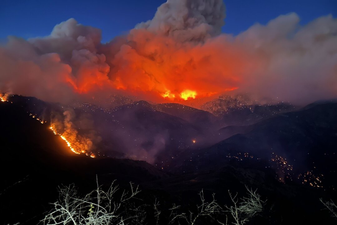 Massive Wildfire in California Burns Grove of Giant Sequoias