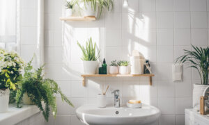 How to Reduce Microplastics in the Bathroom
