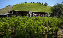 US Adds Colombia to List of Countries Failing to Combat Drug Trafficking