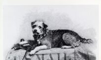On Track with Owney: A Dog’s Postal Odyssey