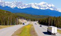 Alberta Shuts Down Driving Schools, Trucking Companies, for Not Meeting Provincial Standards