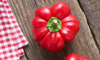 Fresh Red Peppers Are the Star of This Panzanella Recipe