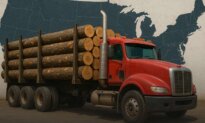 How Much Wood?