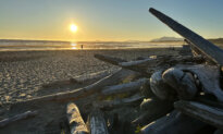 BC Coast Faces No Tsunami Threat After 7.8-Magnitude Earthquake Near Russia: Emergency Office