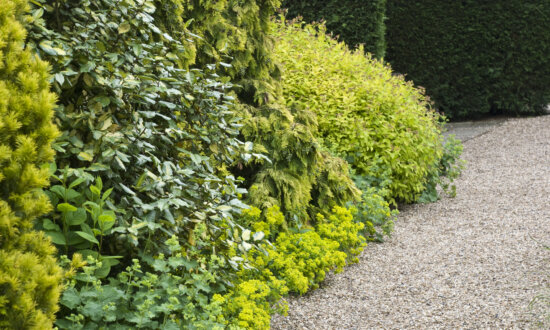 Make a Gravel Path