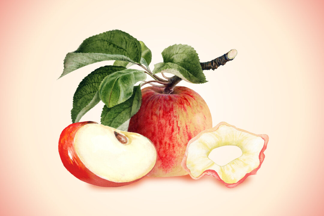 (Illustration by The Epoch Times, Shutterstock)