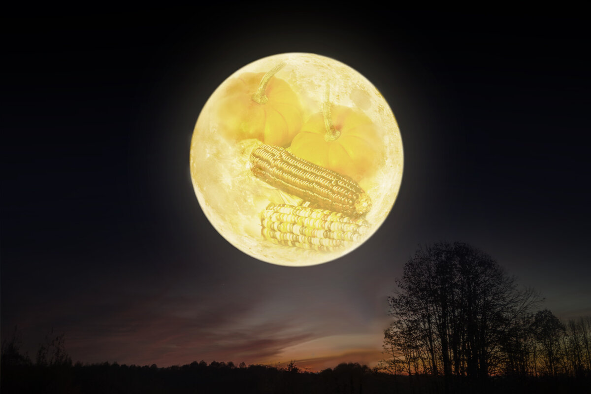 An illustration of the Full Harvest moon, which occurs on Oct. 6 this year. (Epoch Times/Shutterstock/Makic Slobodan/Dan Kosmayer/Jennifer-Davis)