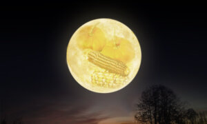 The Full ‘Harvest Moon’ in October Will Be the Biggest Supermoon of 2025