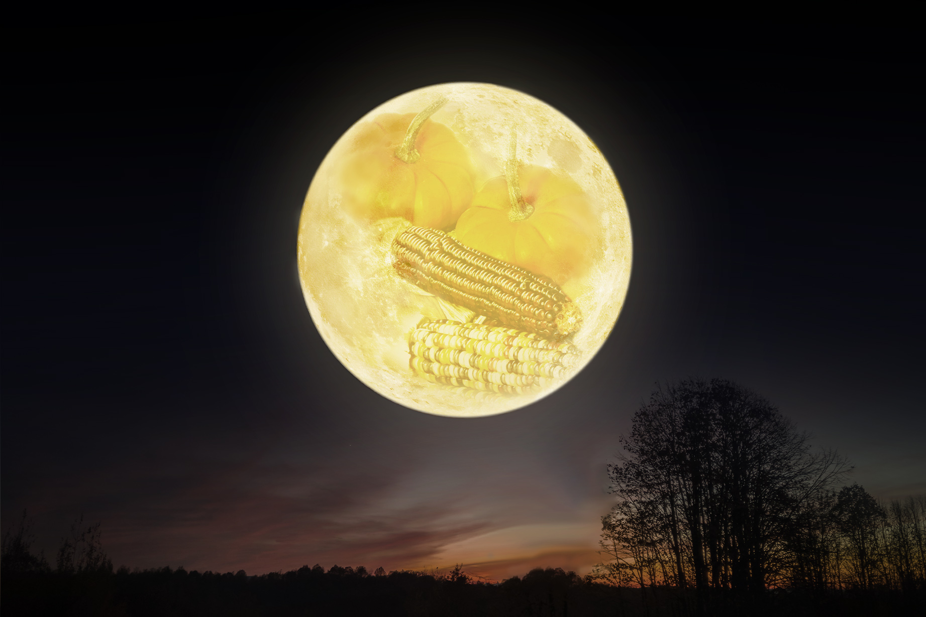 y*o様 フルムーン　大株　10/26 The Full 'Harvest Moon' in October Will Be the Biggest Supermoon