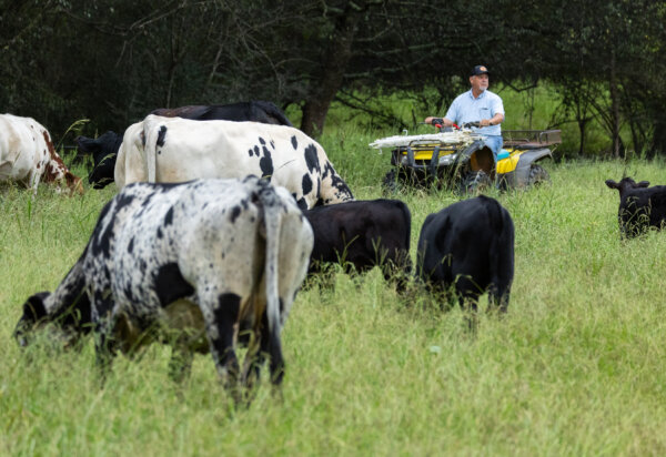 The Push to Shift Away From Glyphosate