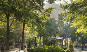 A Case for Beauty in Our Cities