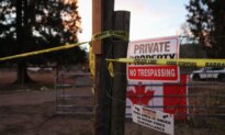 Federal Agency to Feed, Take Charge of Ostriches at BC Farm After Supreme Court Issues Stay of Cull Order