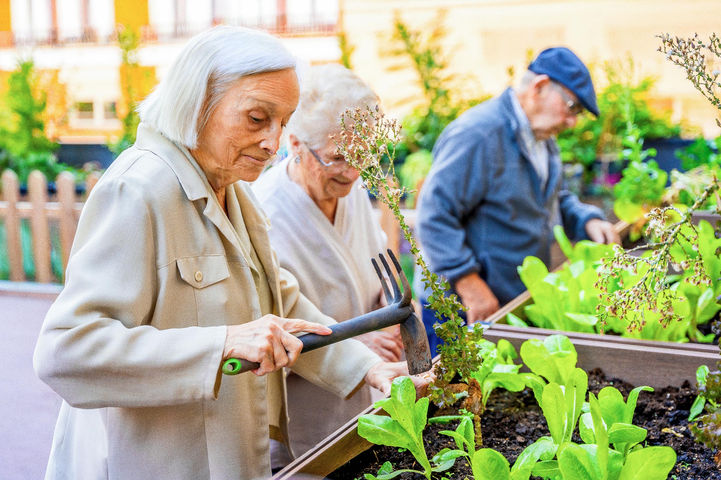 Loneliness harms health like smoking, raising disease risks. Social prescribing, self-kindness, and community connection can reverse isolation.