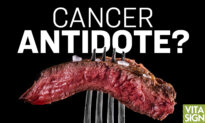 How to Starve Cancer Cells–Carnivore Doctor