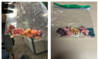 Police Seize More Than $50,000 Worth of Candy Moulded Fentanyl in Winnipeg