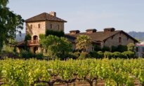 Discover Good Wines Wherever You Are