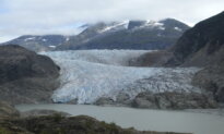 Arizona Hiker Dies After Falling Near Alaska’s Mendenhall Glacier