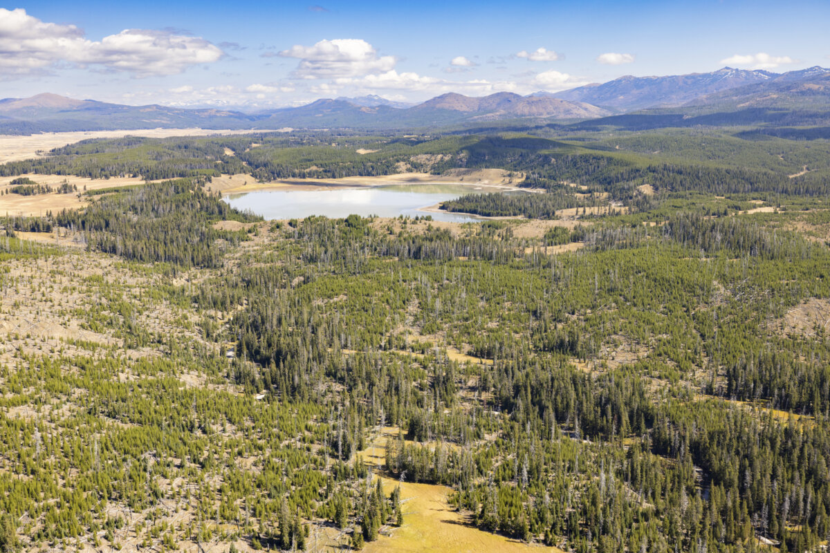 Turbid Lake in Yellowstone National Park, Wyo., on Sept. 21, 2024. (Jacob W. Frank/National Park Service via AP)