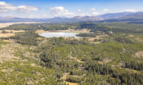 Bear Attack on Hiker Closes Trail in Yellowstone