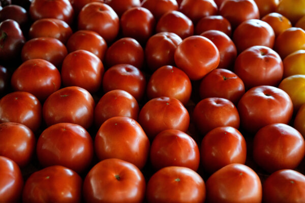 The Price of Tomatoes: Opinion