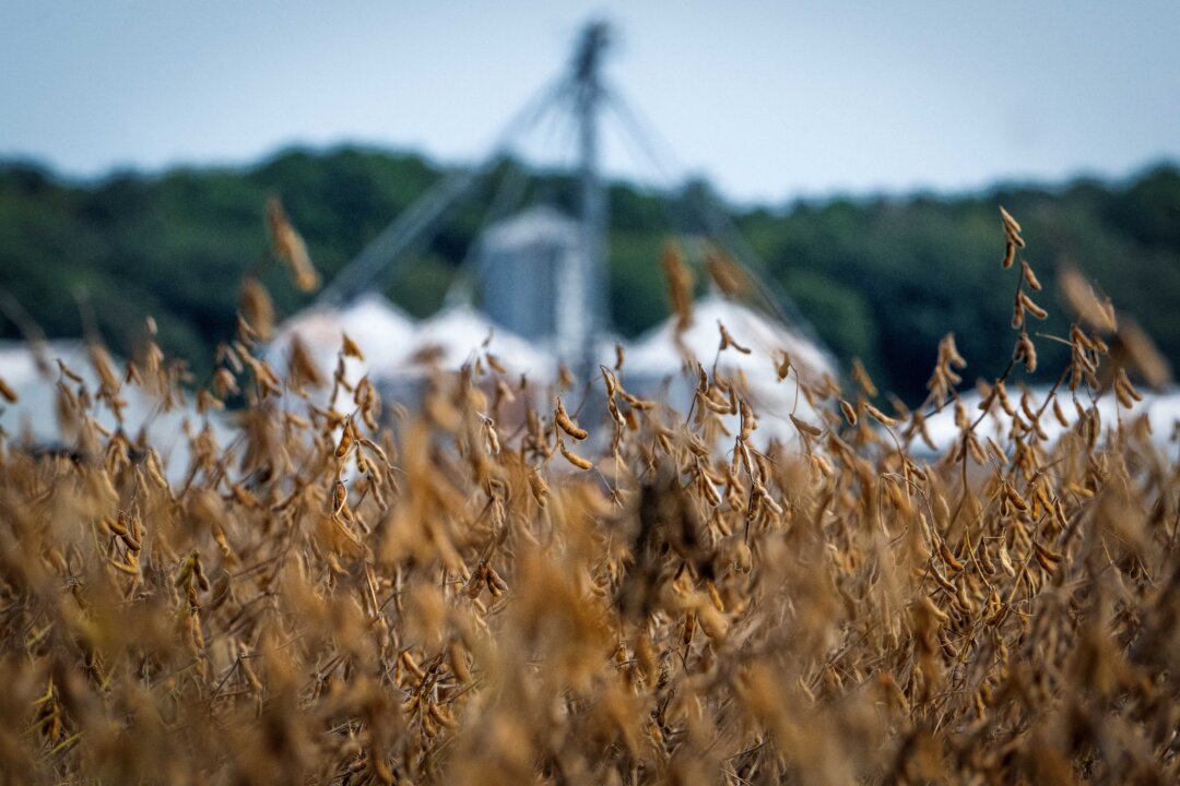 Trump Hints at Pressing China on Soybean Purchases