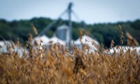 Trump Hints at Pressing China on Soybean Purchases