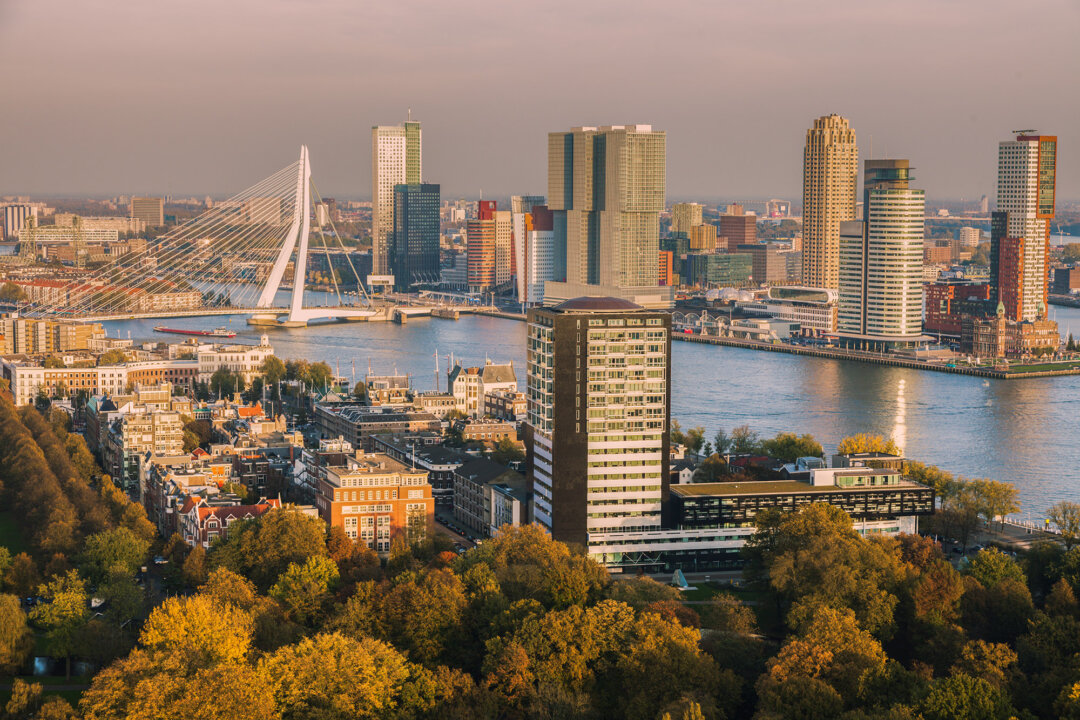 NextImg:24 Hours in Rotterdam