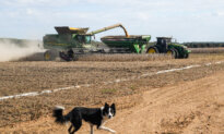 Ditch the Subsidies, Grow What Actually Works
